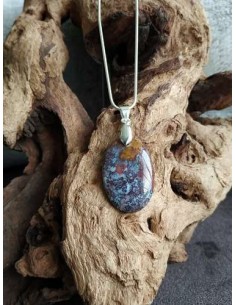 Pendentif en bois fossile
