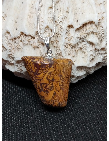 spe Mariam appelé aussi Jaspe Eléphant de La Bijouterie Minérale