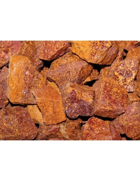 copy of pierre naturellebrute971