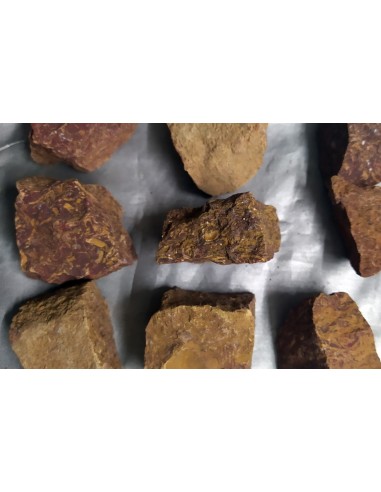 copy of pierre naturellebrute971