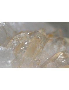 copy of pierre naturellebrute964 2