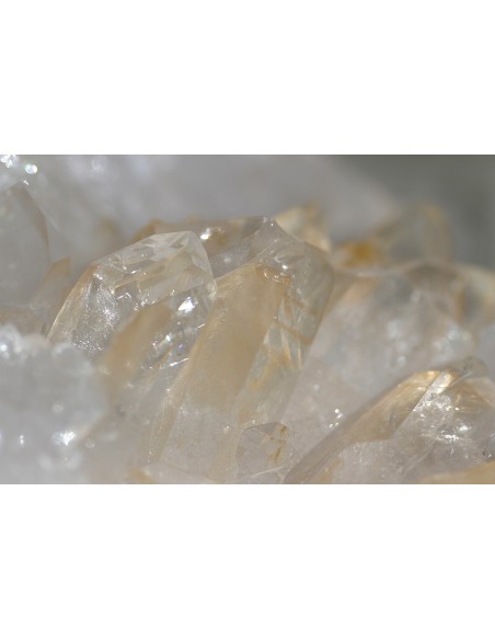 copy of pierre naturellebrute964