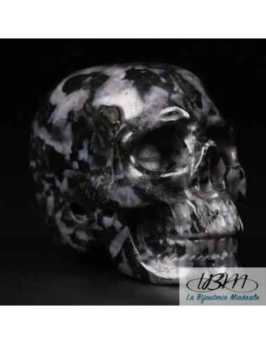 copy of Crâne en oeil de tigre massif de 5 cm