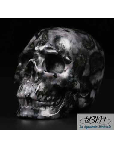 copy of Crâne en oeil de tigre massif de 5 cm