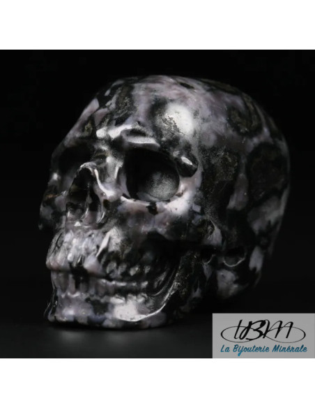 copy of Crâne en oeil de tigre massif de 5 cm