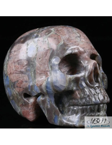 copy of Crâne en oeil de tigre massif de 5 cm