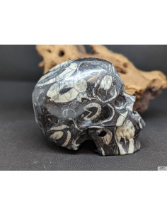 copy of Crâne en oeil de tigre massif de 5 cm 2