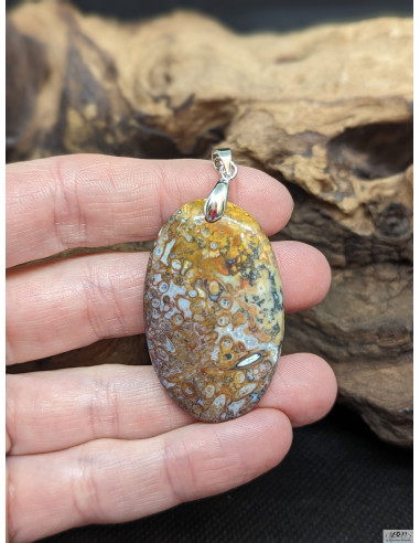 Pendentif d'Agate Plume de 39.4 * 25.1 mm par La Bijouterie Minérale