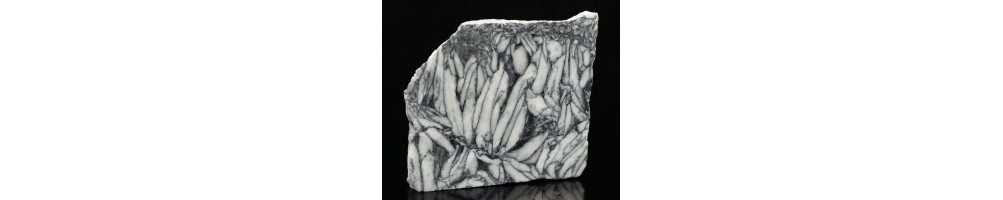 Pinolite - Pinolith